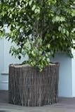 Weidenmatte Weidenschutzmatte Winterschutz Pflanzenschutz Schutzmatte 50x150 cm
