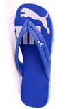 Puma - BASIC FLIP II SPECIAL BLUWT SANDAL--4