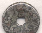 Crinoid Fossil Donut, 38-40mm