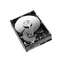 WD Caviar Blue WD3200AAJS - Festplatte
