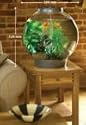 Biorb Aquarium 60ltr with light