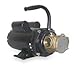 Dayton 3ABZ6 Pump, Bronze, 3/4 HP, 115/230V, 10.8/5.4Amps
