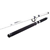 Okuma Fishing TU-120 Tundra 12-Foot 2-Piece Surf/Pier Spinning Rod (Large, White/Blue)