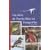 Las Aves de Puerto Rico en Fotografías (Spanish Edition)