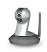 Vivotek PT7137 - Network camera - pan / tilt - color - audio - 10/100, 802.11g - DC 12 V