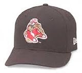 Sarasota Red Sox Alt Cap by New Era
