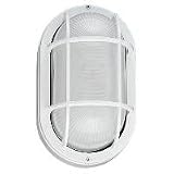 8927PBLE-15 - SeaGull Lighting Single-Light Fluorescent Outdoor Wall Lantern