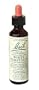 Bach Essence White Chestnut 20 Milliliters