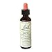 Bach Essence White Chestnut 20 Milliliters