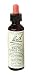 Bach Essence White Chestnut 20 Liquids