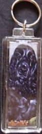 Black Cocker Spaniel Dog Key Chain Ring 3" Polyanna Pickering 3 D Image Made in England