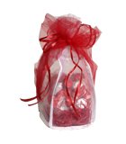 Personalized 1lb bag of Valentines assortment of Hersheys Kisses http://www.huggableteddybears.com/product.php?productid=17597