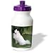 Dogs American Eskimo - American Eskimo - Water Bottles