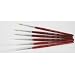 Golden Nail Art Brush Kit - 6pc.