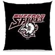 Buffalo Sabres Team Souvenir Pillow 12x12 - NHL Hockey Sports Team Merchandise