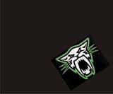 Sporting Goods : Arctic Cat Black Mouse Pad - Green Panther