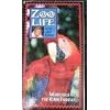 Zoo Life with Jack Hanna: Wonders of The Rain Forest
