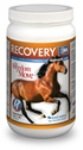 Recovery EQ with Hyaluronic Acid, 1 Kg