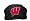 Wisconsin Badgers