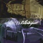 Blindspott