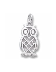 Owl Charm