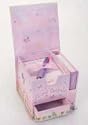 Lucy Locket Fairy Secrets Secret Box