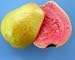 * 15 DWARF PINEAPPLE/STRAWBERRY GUAVA SEEDS ** #1080