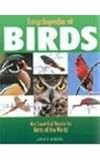 Encyclopedia of birds