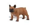 Safari: French Bulldog