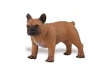 Safari: French Bulldog