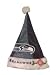 Seattle Seahawks Santa Hat