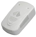 Gas detector leakage alarm