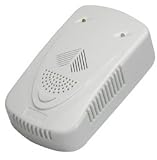  : Gas Detector