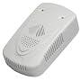 Gas detector leakage alarm