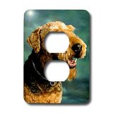 Dogs Airedale - Airedale Terrier - Light Switch Covers - 2 plug outlet cover