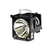 Electronics : 2000HRS 130W LAMP REPLACEMENT FOR SE1 (VLT-SE1LP)