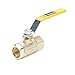 Parker Hannifin Corp. Brass SAE Female Ball Valve, Lever, 1/2" Pipe Size XV506P-8-1 Each