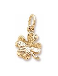 4 Leaf Clover Charm