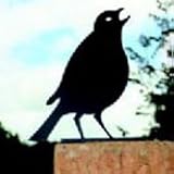 Review Europe  / Garden Ornament, Fence Post Finial - Song Thrush