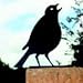 Garden Ornament, Fence Post Finial  - Song Thrush