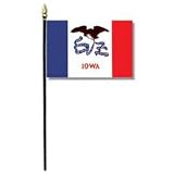 Iowa Miniature Flag