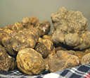 Whole Fresh White Truffles (Alba, Italy), 4 oz
