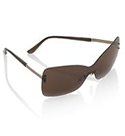 Oversized Sunglasses