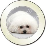 NEW-BICHON FRISE DOG Tax Disc Holder