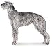 The American Kennel Club : SCOTTISH DEERHOUND