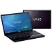 Sony VAIO EB1QGX/BI 15.5