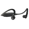 Motorola S9-HD Headset with D650 iPod Adapter and Carrying Case (Gloss Black)