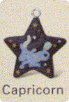  : Tea Ball with Astrology Sign - Capricorn
