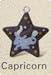 Search : Tea Ball with Astrology Sign - Capricorn