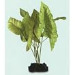 Tiger Lotus Aquarium Plant, Medium Green
